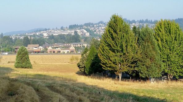 Land Development Opportunity: 17444 SE Vogel Rd, Damascus, OR 97089